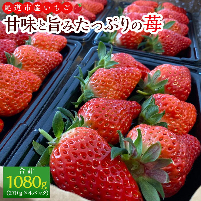 14位! 口コミ数「0件」評価「0」河野園芸の完熟いちご4パック