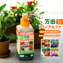 【ふるさと納税】万田アミノアルファ　1L | 肥料 植物 酵素 万田酵素 万田発酵 有機 国産 野菜 まんだこうそ 送料無料 おすすめ 人気 広島県 尾道市