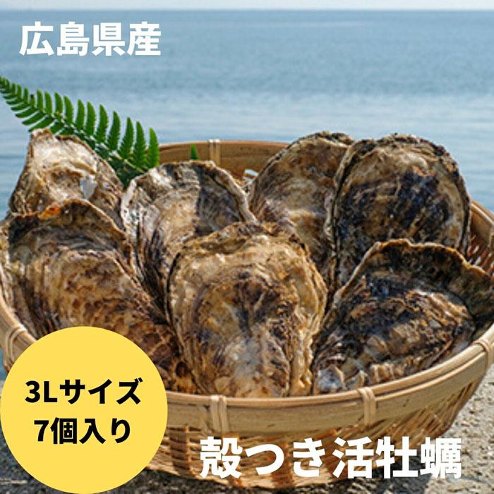 【ふるさと納税】〈3Lサイズ7個〉年中うまい！丹精込めた「う