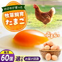【ふるさと納税】天心山 たまご60個 【回数が選べる定期便】卵 たまご 高級 食品 たまごかけご飯 卵かけご飯 卵焼き 生卵 濃厚 ケーキ お菓子 づくり ラン...