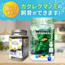 広島県福山市の画像2