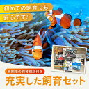広島県福山市の画像3