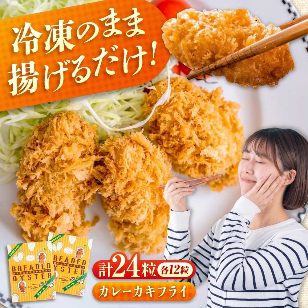 冷凍 カキフライ (カレー 12粒×2袋) 広島県産 冷凍カキフライ 広島牡蠣 牡蠣 かき カキ 料理 簡単 魚介類 海鮮 ギフト 広島県福山市/クニヒロ株式会社[BACG004]