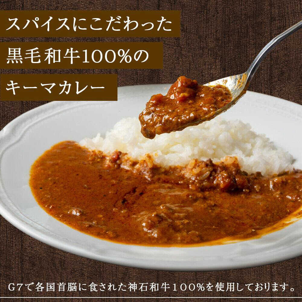 【ふるさと納税】【全12回定期便】秘密の黒毛和牛キーマカレー 5袋 おすすめ 人気 レトルト カレーライス 大容量 セット 詰め合わせ 簡単調理 本格的 スパイス 中辛 キーマ 牛肉 ストック お取り寄せ グルメ ご当地 広島県福山市/株式会社グリル壱乃藏[BACI009]