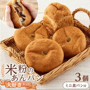 【ふるさと納税】【お中元対象】あんぱん 米粉のあんぱん大好き3個セット ミニ食パンつき 広島県福山市/株式会社ピーターパン パン あんぱん 米粉パン 詰合せ あ...