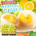 【ふるさと納税】【12回定期便】お菓子 はっさく大福12個入×2 お菓子 大福 八朔 柑橘 みかん オレンジ 餅 ギフト お取り寄せ スイーツ フルーツ大福 ...