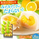 【ふるさと納税】お菓子 はっさく大福8個入 お菓子 大福 八朔 柑橘 みかん オレンジ 餅 ギフト お取り寄せ スイーツ フルーツ大福 ご当地 菓子 おかし ...