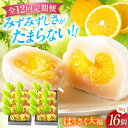 【ふるさと納税】【12回定期便】お菓子 はっさく大福8個入×2 お菓子 大福 八朔 柑橘 みかん オレンジ 餅 ギフト お取り寄せ スイーツ フルーツ大福 ご...