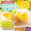 【ふるさと納税】【12回定期便】お菓子 はっさく大福20個入 お菓子 大福 八朔 柑橘 みかん オレンジ 餅 ギフト お取り寄せ スイーツ フルーツ大福 ご当...