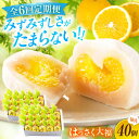 【ふるさと納税】【6回定期便】お菓子 はっさく大福20個入×2 お菓子 大福 八朔 柑橘 みかん オレンジ 餅 ギフト お取り寄せ スイーツ フルーツ大福 ご...