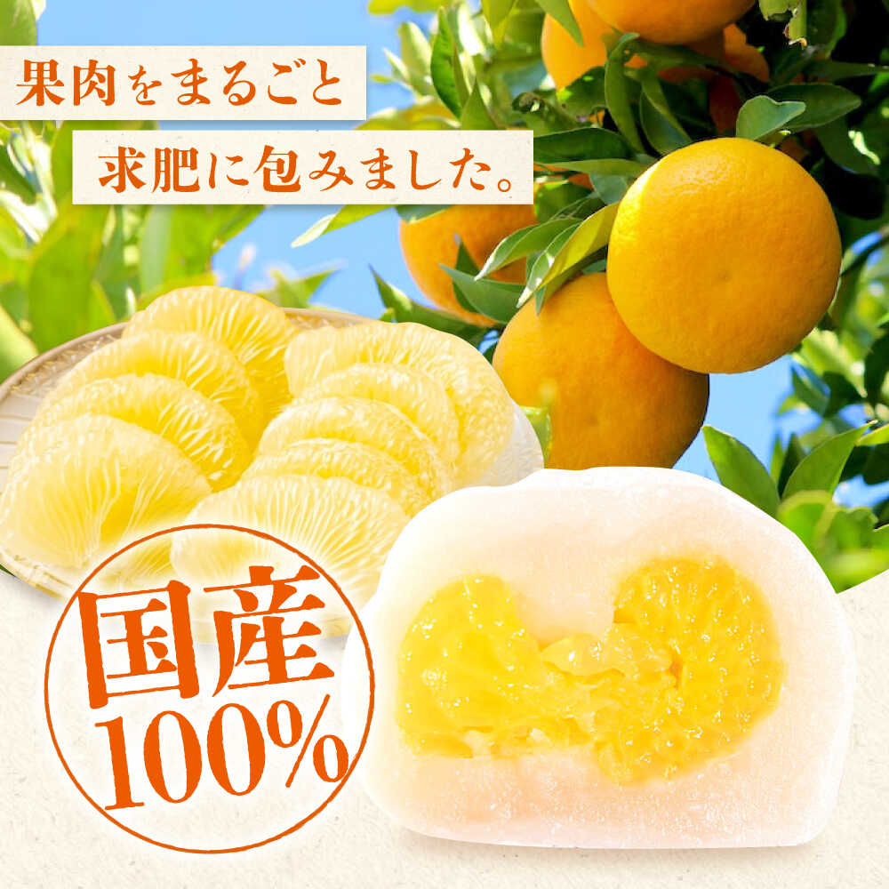 【ふるさと納税】【12回定期便】お菓子 はっさく大福 20個入×2 お菓子 大福 八朔 柑橘 みかん はっさく オレンジ 餅 ギフト お取り寄せ スイーツ フルーツ大福 ご当地 菓子 おかし デザート 食品 人気 おすすめ 和菓子 広島県福山市/株式会社虎屋本舗[BADH036]