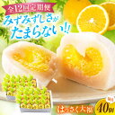 【ふるさと納税】【12回定期便】お菓子 はっさく大福20個入×2 お菓子 大福 八朔 柑橘 みかん オレンジ 餅 ギフト お取り寄せ スイーツ フルーツ大福 ...