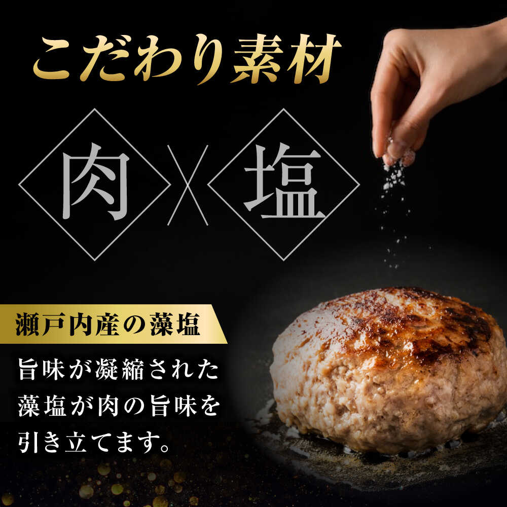 【ふるさと納税】【お中元対象】冷凍 肉 和牛入り藻塩ハンバーグ(デミグラス) 5個セット 広島県福山市/有限会社池口精肉店 ハンバーグ 黒毛和牛 国産 おかず 湯煎 ギフト[BAFK003]