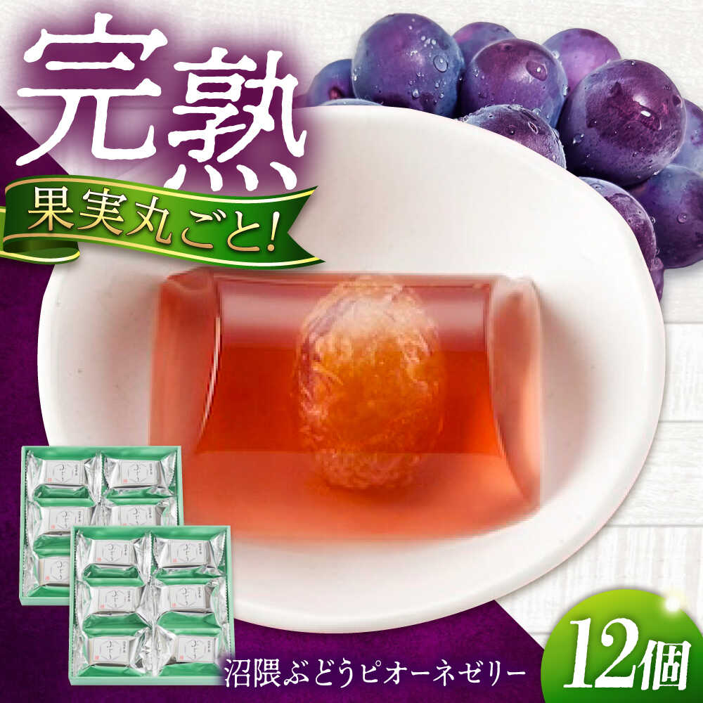 [お中元対象]ゼリー 瀬戸内産 沼隈ぶどうピオーネゼリー 12個入り ゼリー スイーツ デザート おやつ 果物 お菓子 スイーツ 甘い 広島県福山市/有限会社勉強堂[BAFL005]