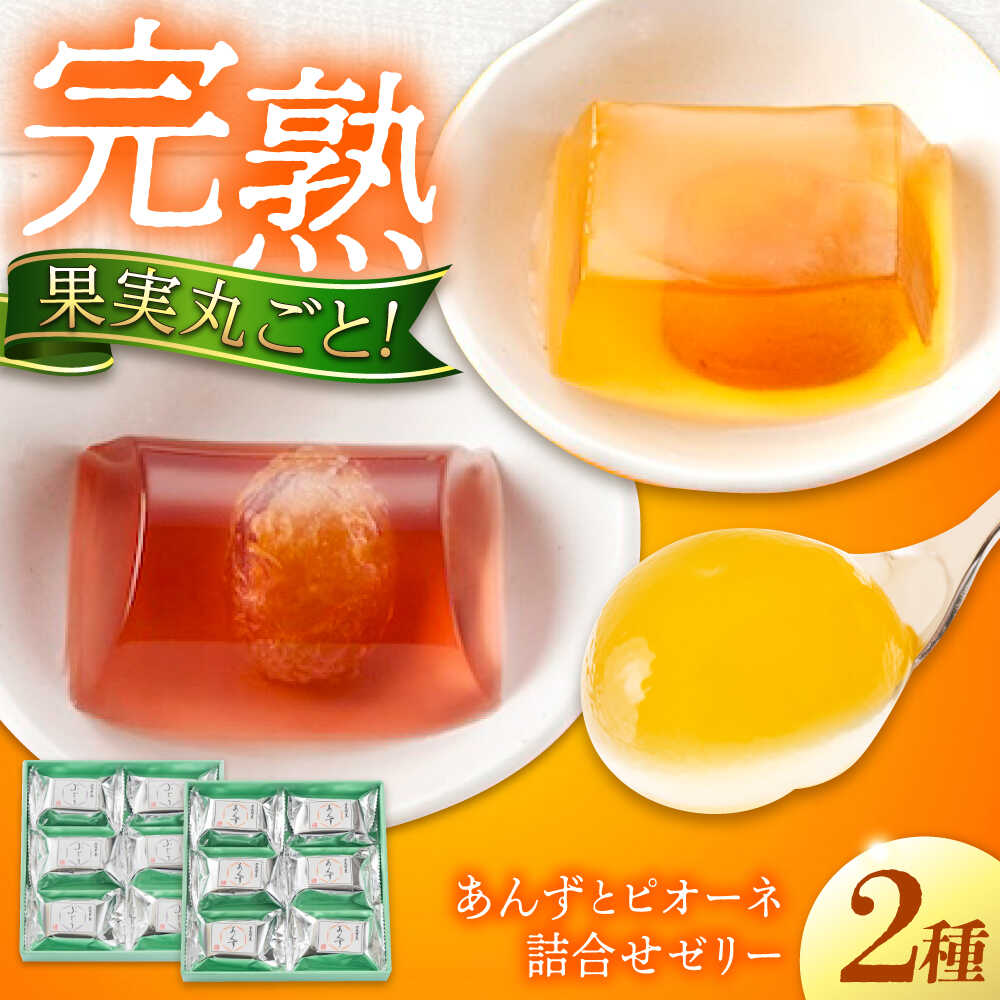 [お中元対象]ゼリー 瀬戸内果実ぜりぃ あんず ピオーネ詰合せ 12個入り ゼリー スイーツ おやつ デザート お菓子 スイーツ 甘い 広島県福山市/有限会社勉強堂[BAFL006]