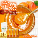 【ふるさと納税】【全3回定期便】 ジャム 田尻完熟あんずジャム (4本) ジャム 果物 あんず パン 甘い 菓子 朝ごはん 広島県福山市/有限会社勉強堂[BAF...