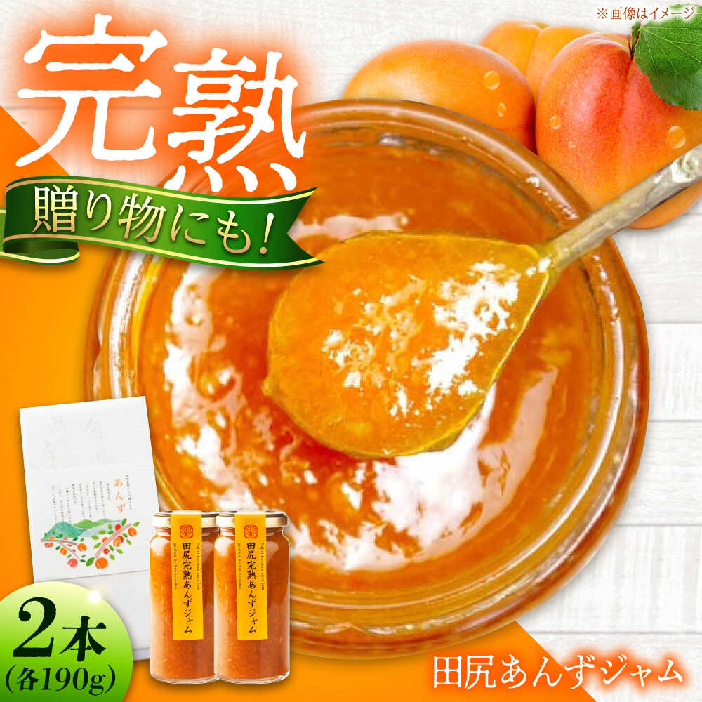 ジャム 田尻完熟あんずジャム (2本) ジャム 果物 あんず パン 甘い 菓子 朝ごはん 広島県福山市/有限会社勉強堂[BAFL011]