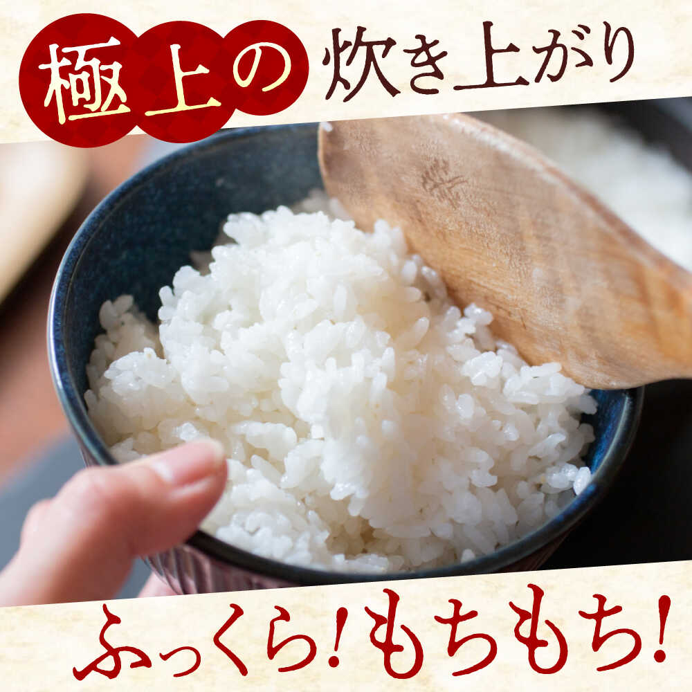 【ふるさと納税】【令和7年11月以降発送】お米 農家自慢のお米 11月頃からの発送 こだわりのにこまる 山田米 白米 10kg 米 こめ ブランド米 大粒 安心 安全 オススメ 人気 広島県福山市/株式会社吉川[BAFU001]
