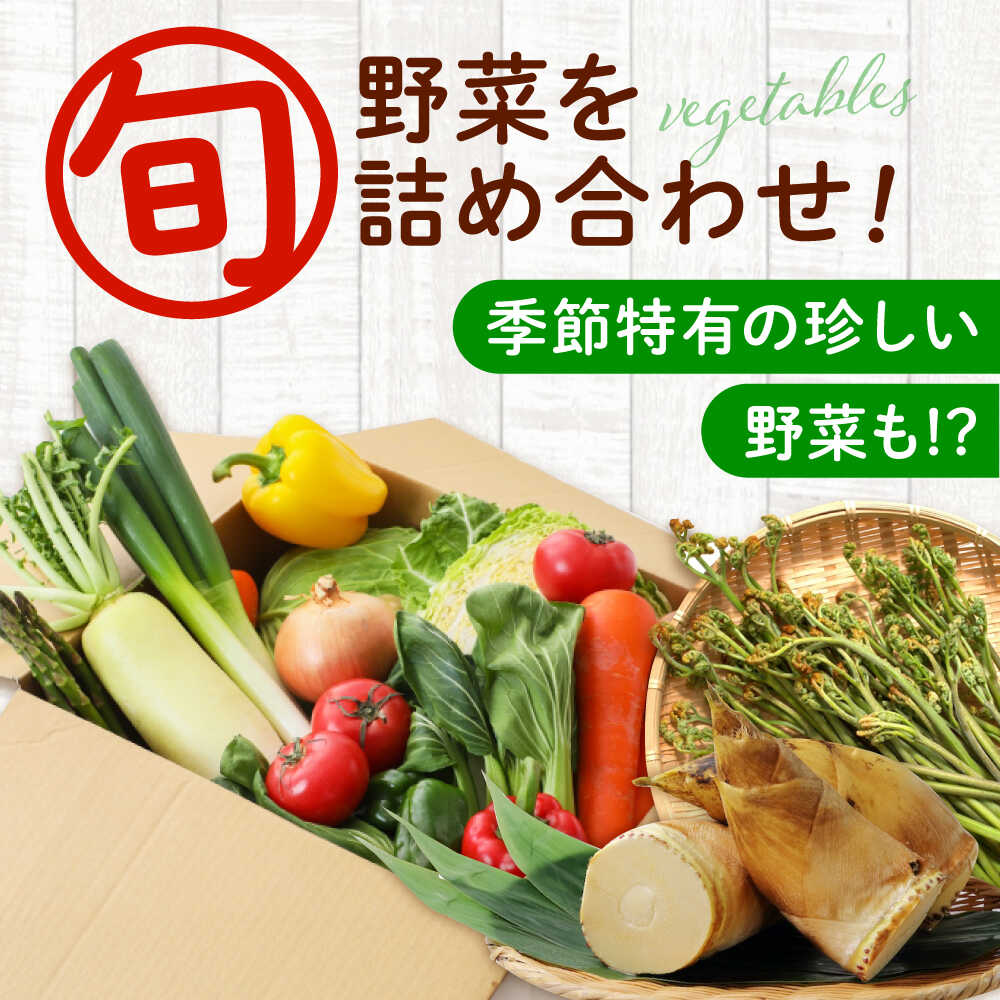 【ふるさと納税】愛菜連のおまかせ野菜パック（6人用）野菜詰合せ 旬 旬の野菜 野菜セット 産地直送 ミネラル ビタミン 豊富 おすすめ 人気 送料無料 新鮮 とれたて 季節の野菜 詰め合わせ 定期便 宅配 安心 健康 ふるさと納税 広島県福山市/マルフク株式会社[BAFW002]