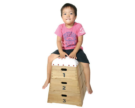 TOBIcoBACO おもちゃ箱3段 / 跳び箱 収納 積み上げ 工芸 送料無料 広島県