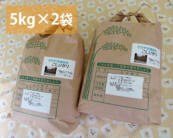 府中市の岳山清流米コシヒカリ 10kg ／ コシヒカリ 米 お米 精米 10kg 5kg×2袋 岳山清流米 清流 常温 通年 賞味期限60日 上下南農産 No.303
