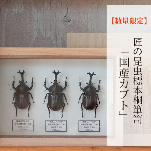 ※返礼品についてなるべく早めの発送を心がけておりますが、入金を確認してから発送までに1ヵ月以上お時間いただく場合がございます。配送日時指定のご希望や事前連絡等の対応はいたしかねますので予めご了承の程宜しくお願い致します。※返礼品の送付は、広島県府中市外にお住まいの方に限らせていただきます。 製品仕様 名称 【数量限定】匠の昆虫標本桐箪笥「国産カブト」 規格・内容量 サイズ： 外　箱　W270×215×H105（mm） 標本箱　W250×180×H75（mm） 原材料：桐、ガラス 発送時期 通年 商品説明 カブトムシ・クワガタ専門店「Stag Beetle（スタッグ・ビートル）」製作の国産カブトムシの標本を、地元の家具製造会社 星野木工株式会社とレーザー彫刻・UV特殊印刷会社 タフコム株式会社と協力し製作した桐箱に入れた、国産カブトの標本桐箪笥です。 桐材は気密性、調湿性があり、防虫効果が高いため標本の保存に適しています。 標本箱の接合部には伝統的工法「蟻組（ありぐみ）」を用い、桐箪笥の表部分はレーザー加工でカブトムシをプリントしています。 桐箪笥より引き出して標本箱を飾ったり、標本箱を収納してプリント部分を飾ったりと好みに合わせて楽しむことができます。 本返礼品は、市内で製造・加工の全工程を行っております。 注意事項 数量限定：10個 お申込みから2か月程度お時間がかかる場合がございます。 標本の昆虫はすべて本物のため、同じ品種でもサイズ・色・形状など個体差があります。 標本桐箪笥は天然木を使用しているため、実際の色合いや木目が画像と異なる場合があります。また、年月の経過とともに色合いが変わります。 提供元 一般社団法人 府中市観光協会 ・ふるさと納税よくある質問はこちら ・寄付申込みのキャンセル、特典の変更・返品はできません。あらかじめご了承ください。「ふるさと納税」寄附金は、下記の事業を推進する資金として活用してまいります。 寄附を希望される皆さまの想いでお選びください。 12．府中市長　小野申人におまかせ（府中市の市政全般に） 1．子育て・教育に関すること 2．まちづくりに関すること 3．健康や医療・福祉に関すること 4．観光振興に関すること 5．商業・工業の振興に関すること 6．農林業の振興に関すること 7．地域活性化や移住・定住に関すること 8．スポーツや文化振興に関すること 9．環境や衛生に関すること 10．安心・安全なまちづくりや防災に関すること 11．ICTを活用したまちづくりに関すること ■寄附金受領証明書 入金確認後、注文内容確認画面の【注文者情報】に記載の住所に2週間～1ヶ月程度で発送いたします。 ■ワンストップ特例申請書 「ふるさと納税ワンストップ特例制度」をご利用頂く場合、当自治体へ「ワンストップ特例申請書」を直接郵送・ご持参頂く必要があります。ワンストップ特例申請書は、ご希望の場合受領書と一緒に送付していますが、直ちにご利用の場合、ご自身で下記ダウンロードページから申請書をダウンロードいただき、印刷したものをご利用ください。申請書のダウンロードはこちらhttps://event.rakuten.co.jp/furusato/guide/onestop.html 〒726-8601 広島県府中市府川町315 広島県府中市　総務部　地域振興課　「選ばれる府中市」推進チーム　宛て