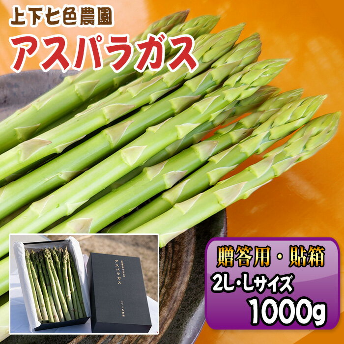 【ふるさと納税】上下七色農園贈答用アスパラガス　2L・Lサイズ　貼箱（1kg）［No.1097］／ 物 アスパラ プレゼント お中元 送りもの 野菜 送料無料 広島県