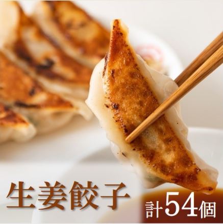 22位! 口コミ数「0件」評価「0」餃子家 龍　霧里しょうが餃子セット　18個×3パック　生姜ぎょうざ　冷凍生餃子　冷凍餃子　時短　小分け　MT0803