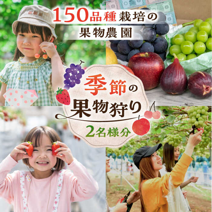 季節の果物狩り 体験チケット(2名様分) フルーツ狩り 親子 子連れ ファミリー 食べ比べ 三次市/平田観光農園[APAA001]