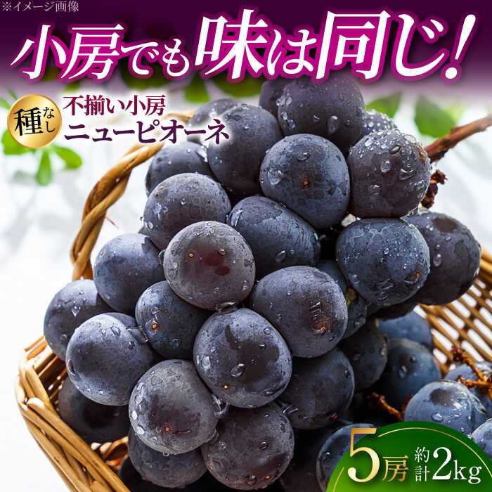 【ふるさと納税】【2026年先行予約】＜8月下旬頃から順次発送＞ ぶどう 不揃い小房ニューピオーネ5房（約2kg） 訳あり 不揃い 家庭用 種なし ニュー ピオーネ フルーツ 果物 ぶどう ブドウ 甘い ジューシー 広島県産 人気 三次市/黒瀬ぶどう園[APAB003]