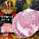 【ふるさと納税】肉 三次ワインビーフ リブロース ステーキ 500g (250g×2枚) 厚切り 黒毛和牛 ロース お肉 牛肉 ステーキ 焼肉 国産 焼き肉 三...