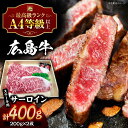 【ふるさと納税】【スピード発送】 広島牛 和牛 サーロイン ステーキ 400g (200g×2枚) 牛肉 肉 国産 お肉 高級 A4 A5 和牛 三次市 / 広...