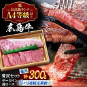 【ふるさと納税】【全6回定期便】広島 和牛 贅沢セット 300g (肩ロース 焼肉用 150g サーロイン 150g) 三次市 / 広島三次ワイナリー[APAZ...