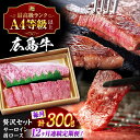 【ふるさと納税】【全12回定期便】広島 和牛 贅沢セット 300g (肩ロース 焼肉用 150g サーロイン 150g) 三次市 / 広島三次ワイナリー[APA...