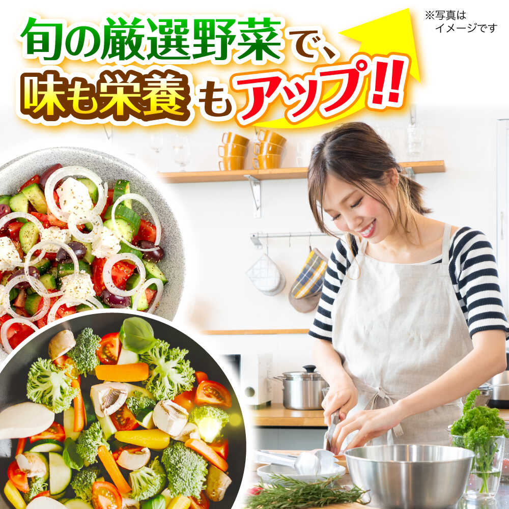 【ふるさと納税】【全6回定期便】厳選！農夫のお野菜セット 旬の野菜 7品目以上 詰め合わせ 野菜セット 新鮮 食材 三次市/布野特産センター[APBA016]