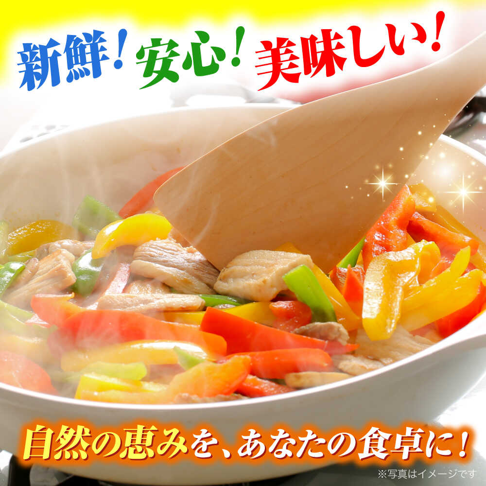【ふるさと納税】【全6回定期便】厳選！農夫のお野菜セット 旬の野菜 7品目以上 詰め合わせ 野菜セット 新鮮 食材 三次市/布野特産センター[APBA016]