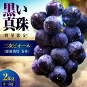 【ふるさと納税】【数量限定】【先行予約】【8月下旬以降順次発送】 三次ピオーネ 露地栽培 青秀 2kg (3〜5房) 30セット限定 ぶどう ピオーネ 葡萄 ブ...