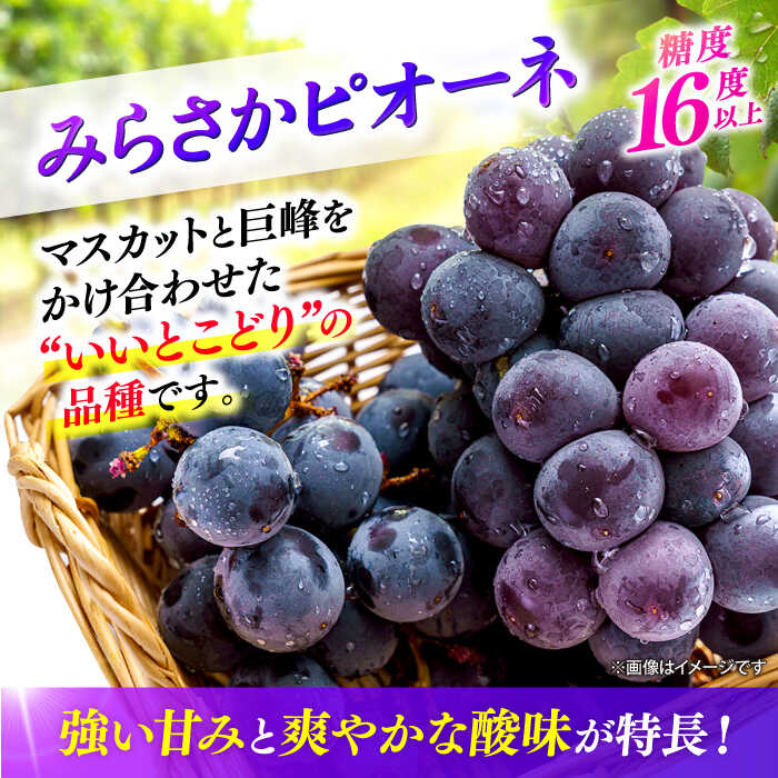 広島県三次市の画像3