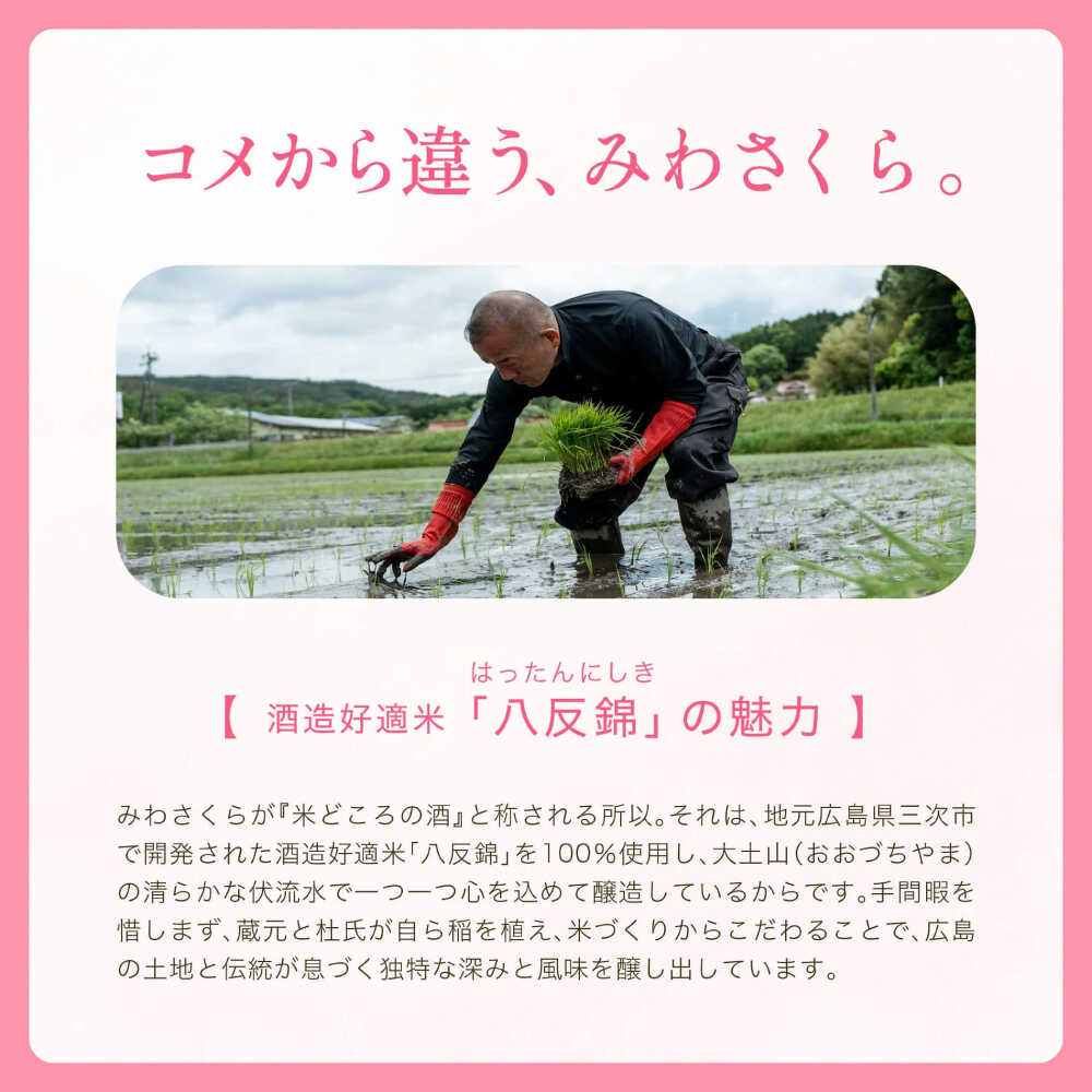 広島県三次市の画像3