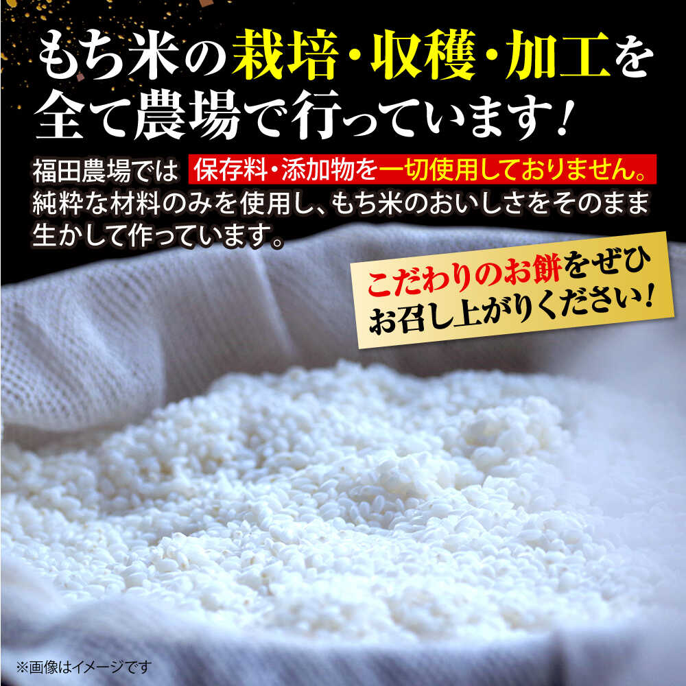 【ふるさと納税】【先行予約】【12月25日〜年内順次発送】【年内発送】 正月 福田農場のお正月セット お餅 黒豆 もち 黒豆煮 おせち 煮豆 餅 黒大豆 おしるこ ぜんざい 雑煮 詰合せ セット 詰め合わせ 人気 おすすめ 元旦 正月 新年 広島 三次 三次市 / 福田農場[APBM001]