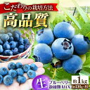【ふるさと納税】【冷蔵】【6月中旬から7月下旬に順次発送】ブルーベリー 約1kg(130g×8パック) 生ブルーベリー ミックスベリー ブルーベリー 三次市/小...