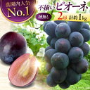 【ふるさと納税】【先行予約】【8月下旬から9月中旬に順次発送】【訳あり】 ピオーネ 1kg(2房) | ぶどう 葡萄 ブドウ フルーツ 果物 くだもの 甘い デ...