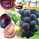 【ふるさと納税】【先行予約】【8月下旬から9月中旬に順次発送】【訳あり】 ピオーネ 2kg(4〜5房) | ぶどう 葡萄 ブドウ フルーツ 果物 くだもの 種な...