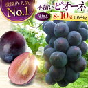 【ふるさと納税】【先行予約】【8月下旬から9月中旬に順次発送】【訳あり】 ピオーネ 4kg(8から10房) | ぶどう 葡萄 フルーツ 果物 くだもの ぶどう ...