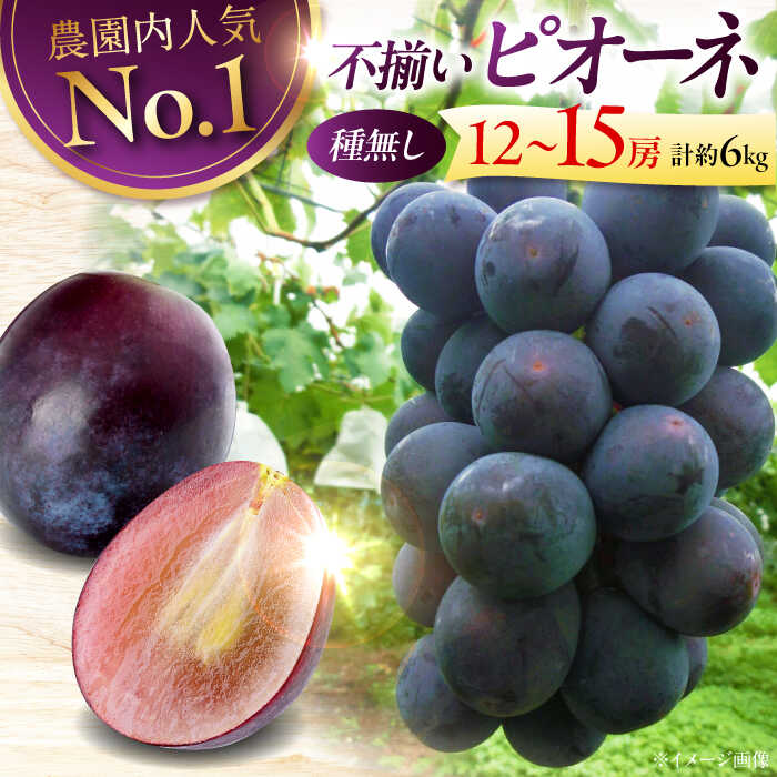 【ふるさと納税】ぶどう 【2026年先行予約】＜8月下旬から順次発送＞【訳あり】 ピオーネ 6kg（12から15房） | ぶどう 葡萄 ブドウ フルーツ 果物 くだもの おすすめ 人気 37000円 三次市/芝床農園[APCK004]