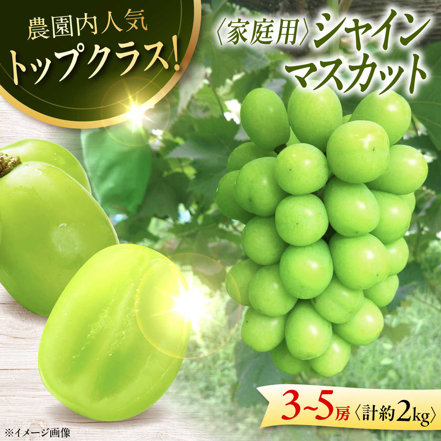【先行予約】 家庭用 シャインマスカット 2kg (3から5房) ＜9月中旬頃から順次発送＞ ぶどう ブドウ 葡萄 マスカット フルーツ 三次市 / 芝床農園[APCK007]