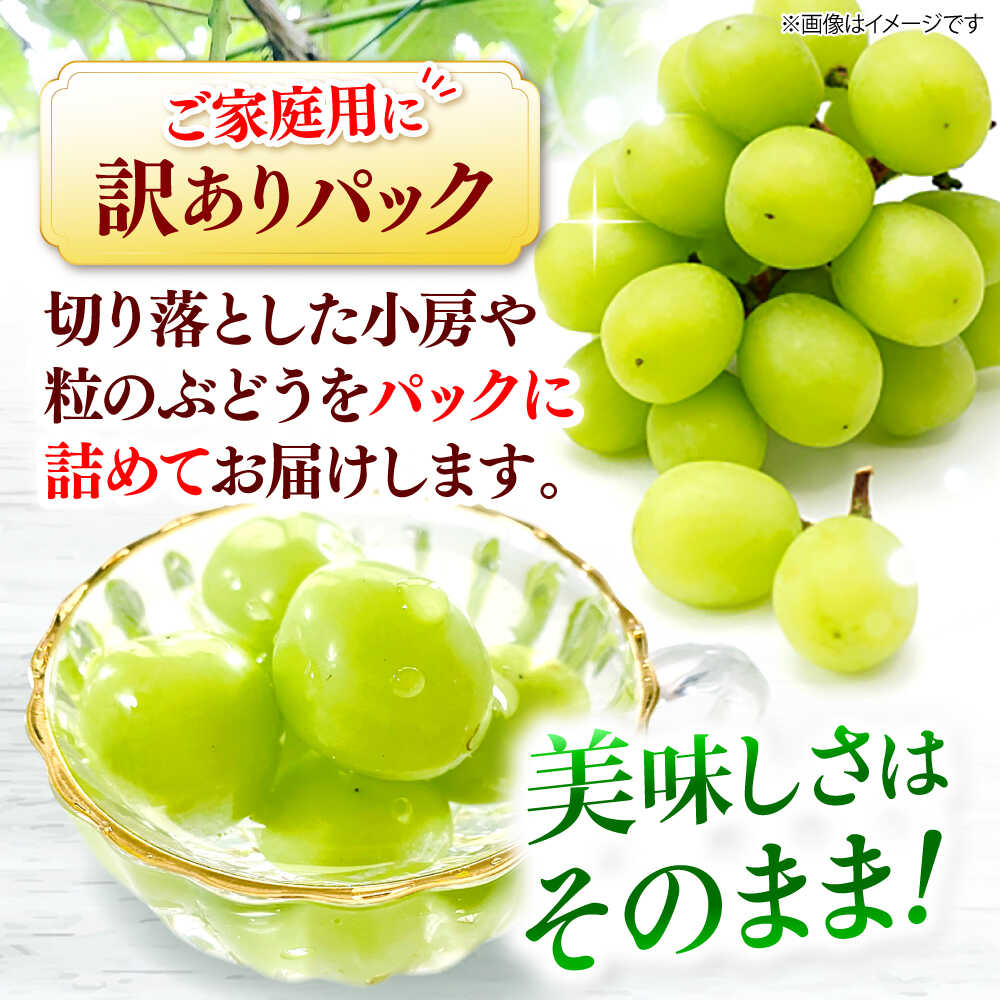 【ふるさと納税】シャインマスカット【2026年先行予約】＜9月中旬から順次発送＞【訳あり】シャインマスカット 約1.2kg（約600g×2パック） |シャインマスカット ぶどう 葡萄 ブドウ 11000円 広島産 三次市/西田ぶどう園[APCM005]