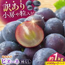【ふるさと納税】【先行予約】【9月上旬から9月末に順次発送】【訳あり】ピオーネ 約1kg(約500g×2パック) | 露地栽培 ぶどう 果物 ピオーネ フルーツ...