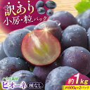 【ふるさと納税】【先行予約】【8月上旬から8月末に順次発送】【訳あり】ピオーネ 約1kg(約500g×2パック) | ハウス栽培 ぶどう 果物 ピオーネ フルー...