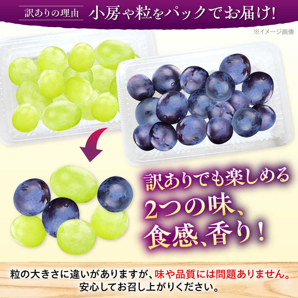 【ふるさと納税】【先行予約】【全4回定期便】【月2回×2ヶ月】【8月上旬から9月末に順次発送】【訳あり】 8月ピオーネ1kg×2回 / 9月シャインマスカット1kg×2回 ぶどう 計4kg | マスカット ブドウ シャイン 葡萄 甘い デザート おいしい 三次市/西田ぶどう園[APCM016]